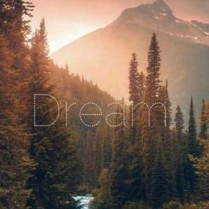 Meet your Posher, Lacey